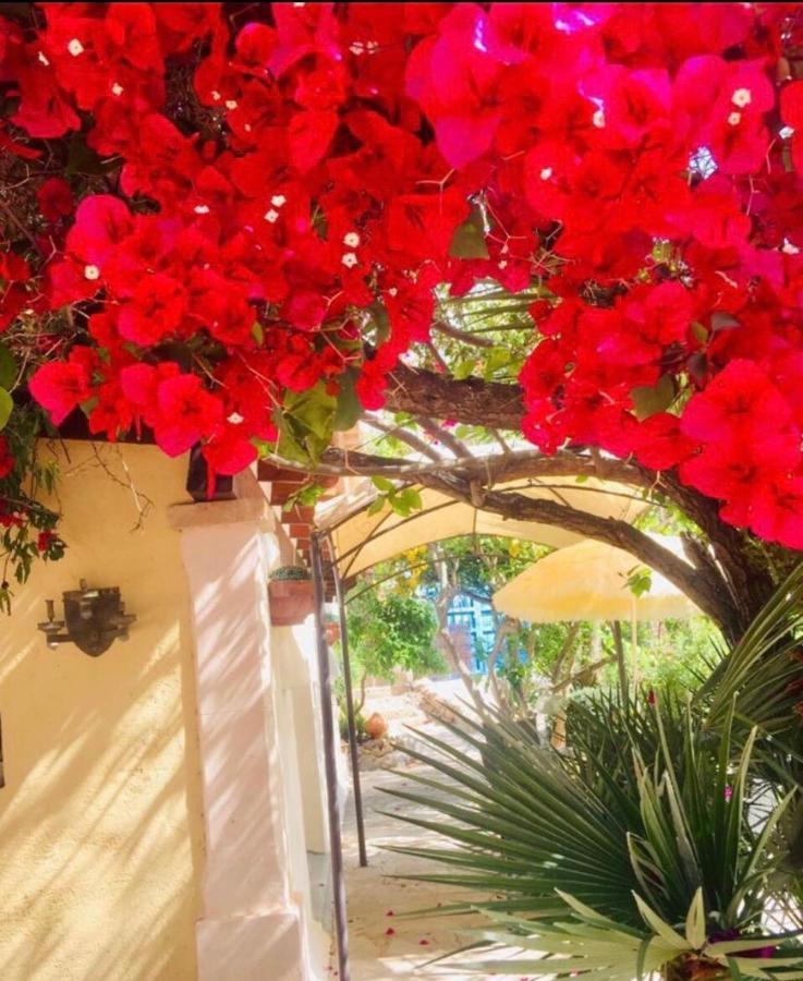 Villa Casita Limon Andratx Extérieur photo