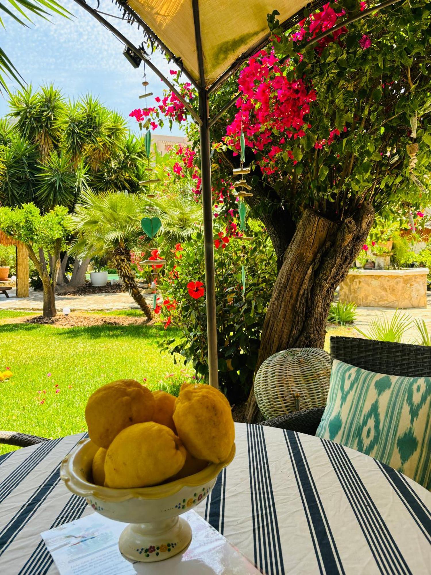 Villa Casita Limon Andratx Extérieur photo