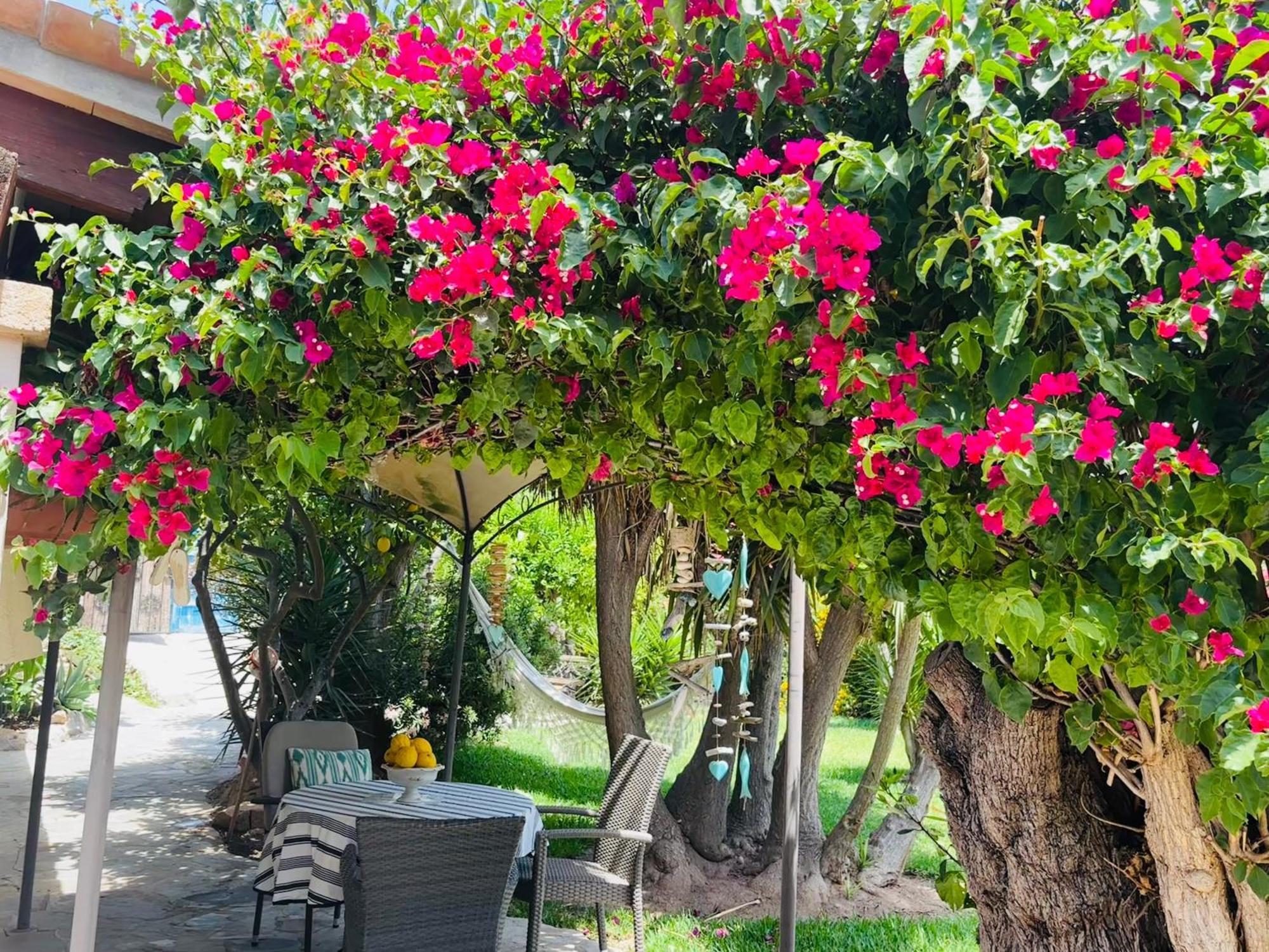 Villa Casita Limon Andratx Extérieur photo