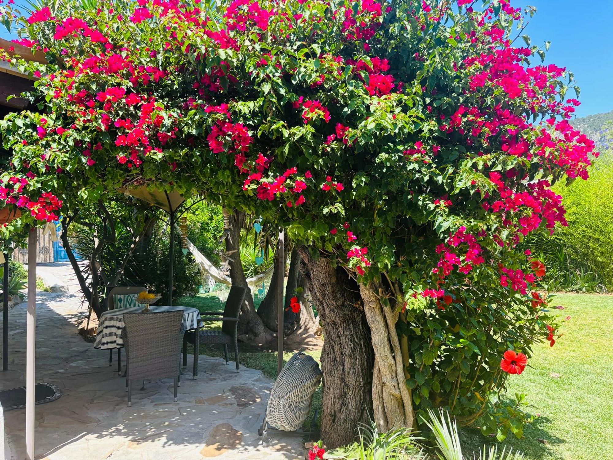 Villa Casita Limon Andratx Extérieur photo